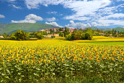 Frankrijk in het voor- en najaar