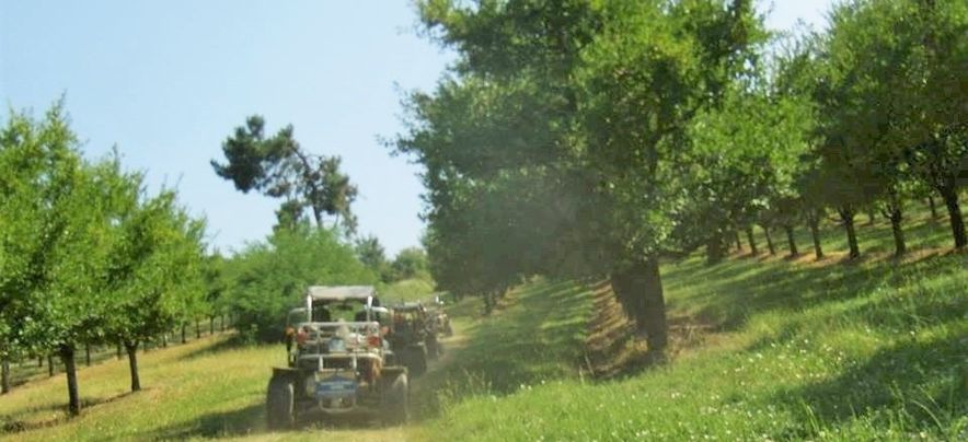 Omgeving Village du Soleil Mauroux 16